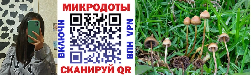 Псилоцибиновые грибы Psilocybe  как найти закладки  blacksprut рабочий сайт  Череповец 